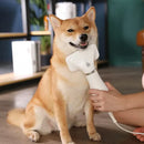 Secador De Pelo Peine Para Mascotas 2 En 1